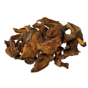 Hongos Secos Jumbalay Bolsa x 1 Kg